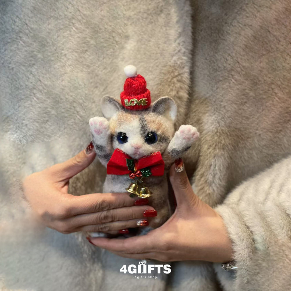 A05 Chubby Squishy Christmas Siam