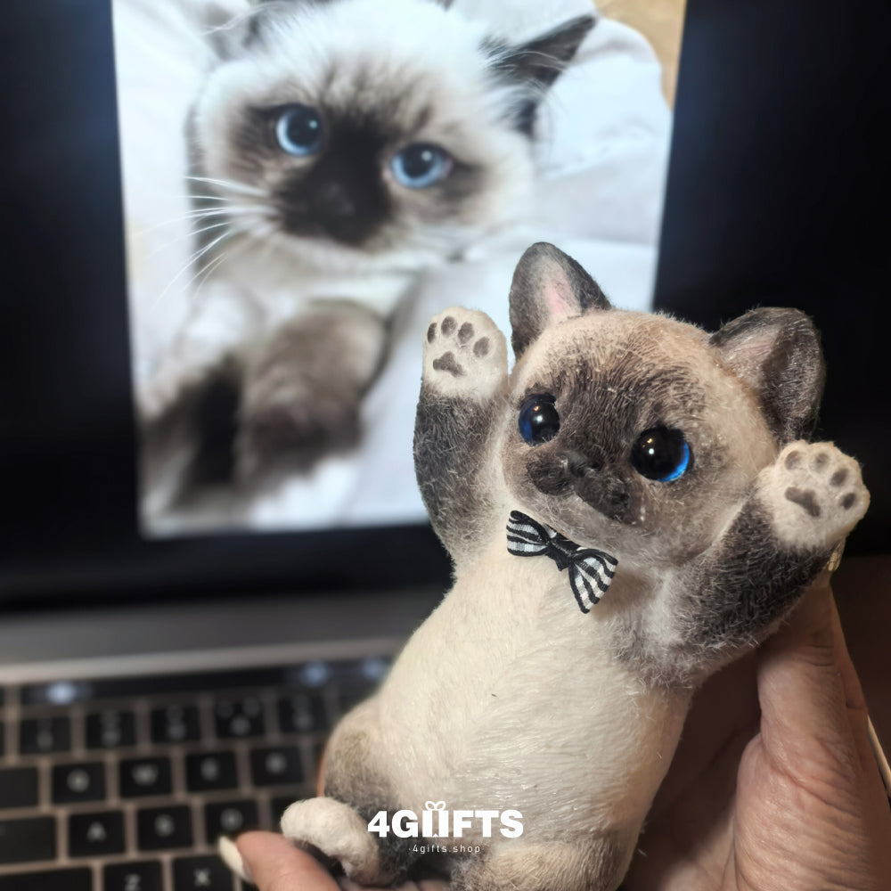 A01 Chubby Squishy Siamese Cat