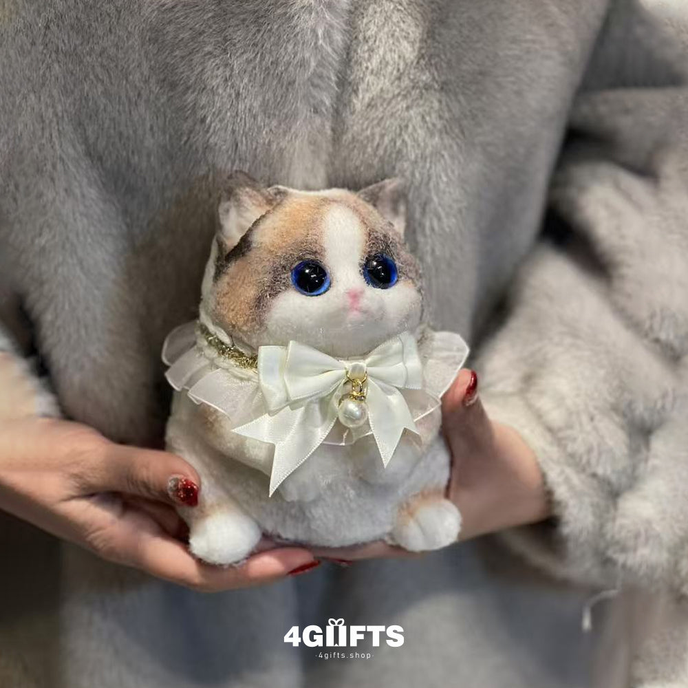B08 Chubby Squishy Ragdoll Cat