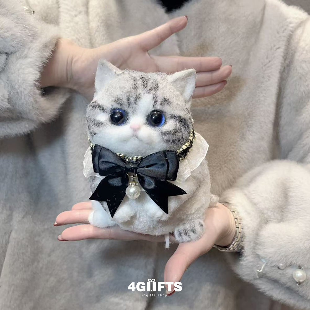 B10 Chubby Squishy American Shorthair Cat
