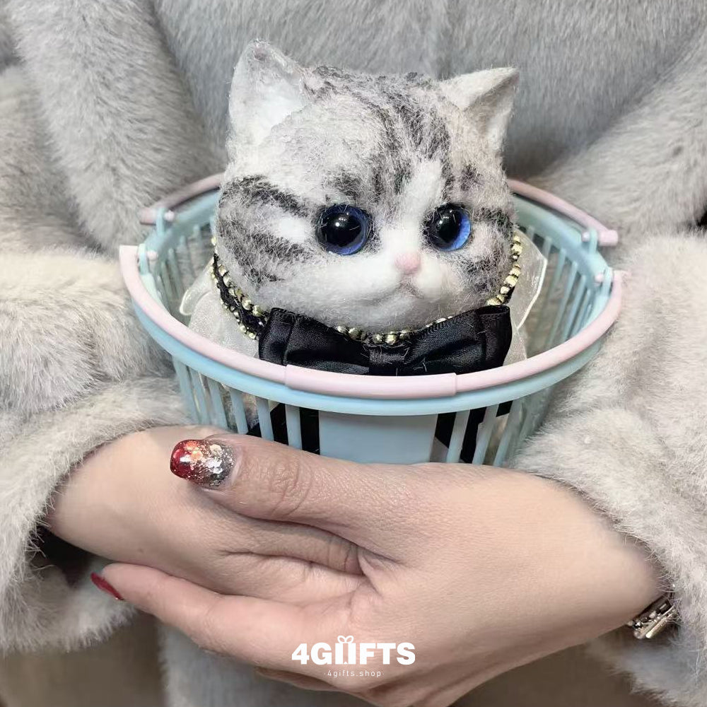B10 Chubby Squishy American Shorthair Cat