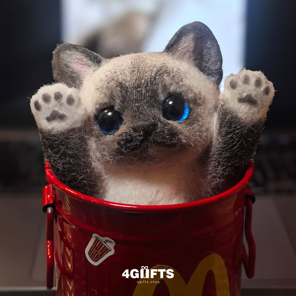 A01 Chubby Squishy Siamese Cat