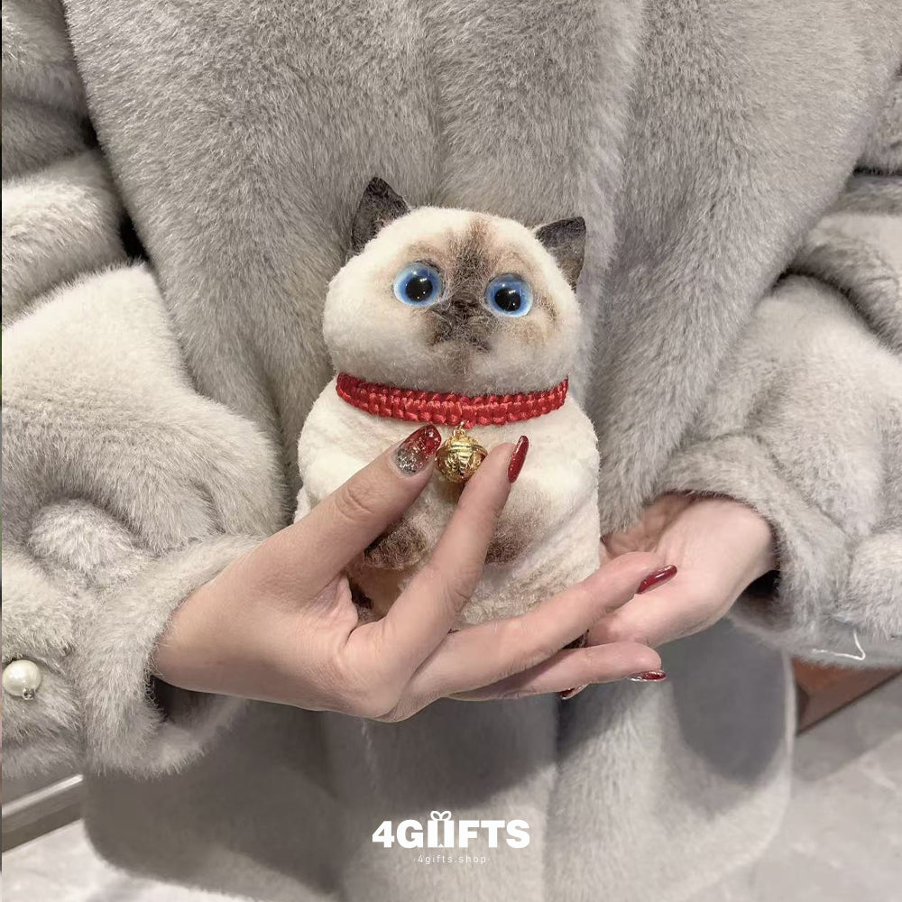 B09 Chubby Squishy Siamese Cat