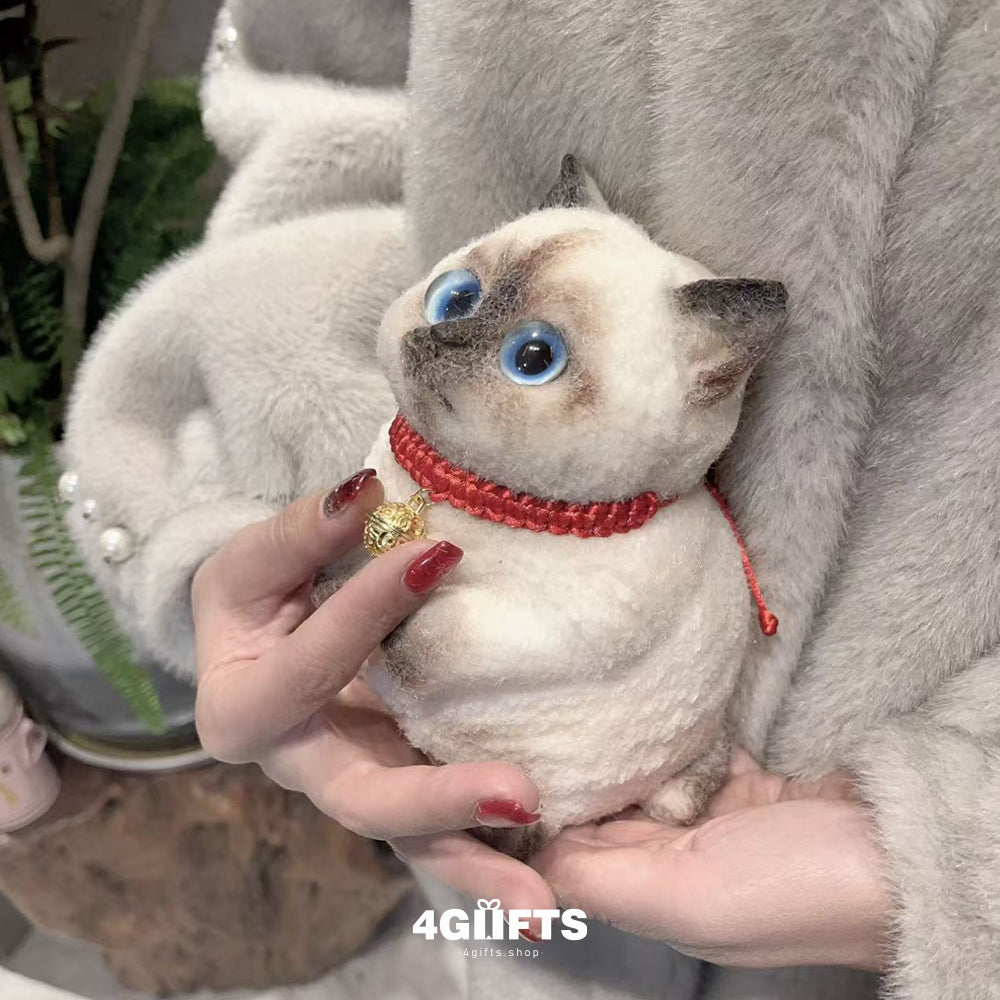 B09 Chubby Squishy Siamese Cat