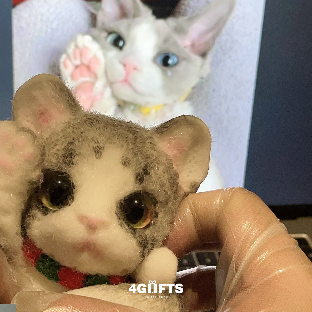 A02 Chubby Squishy Devon Rex cat