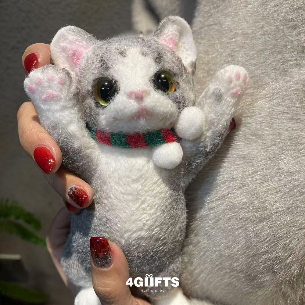 A02 Chubby Squishy Devon Rex cat