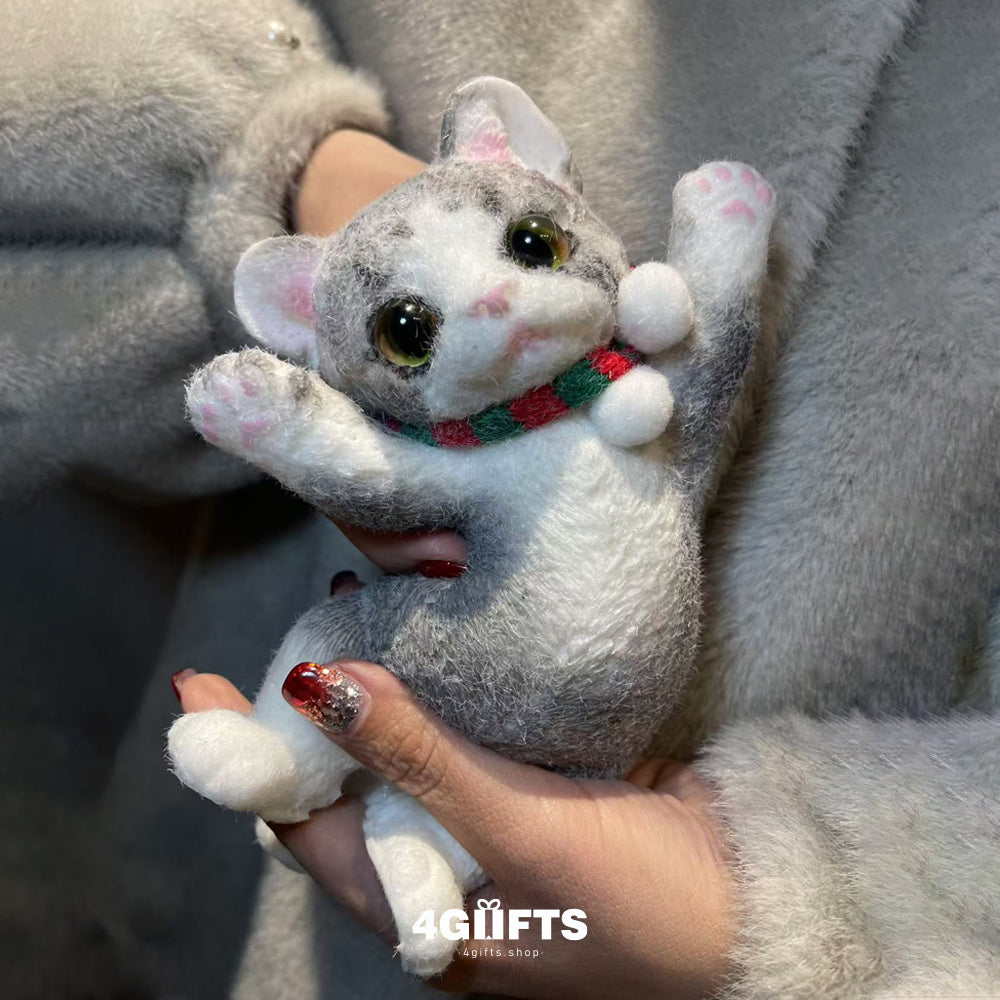 A02 Chubby Squishy Devon Rex cat
