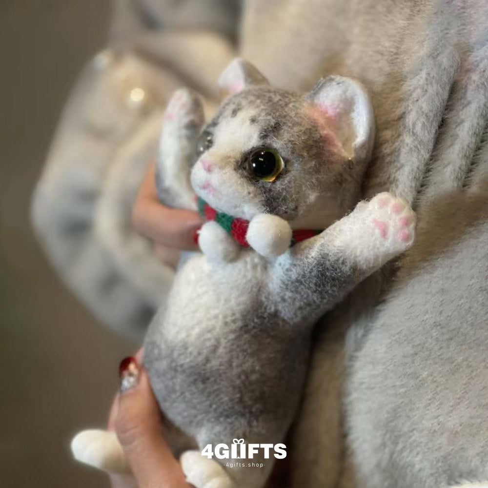 A02 Chubby Squishy Devon Rex cat