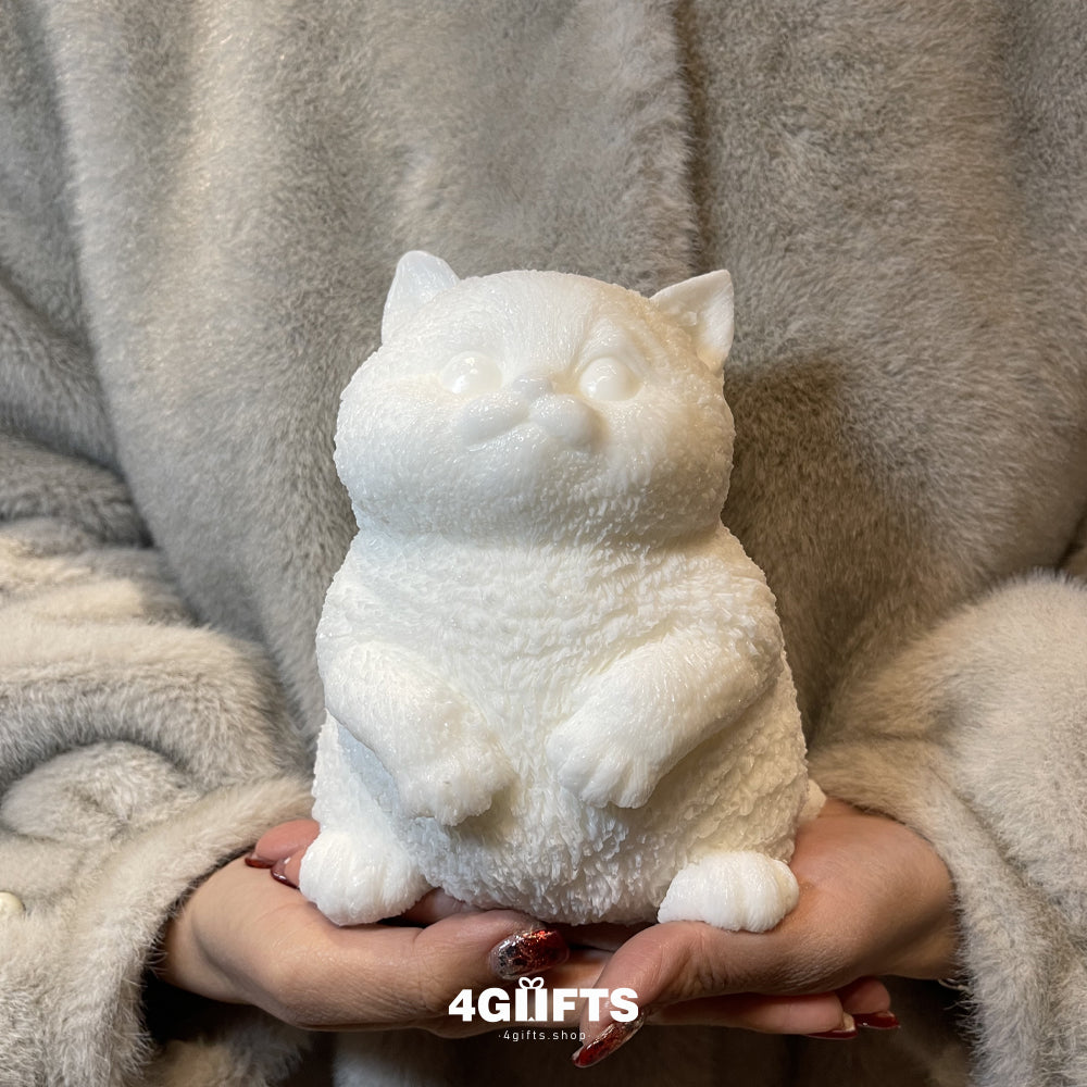 Customize in live Chubby Squishy Cat