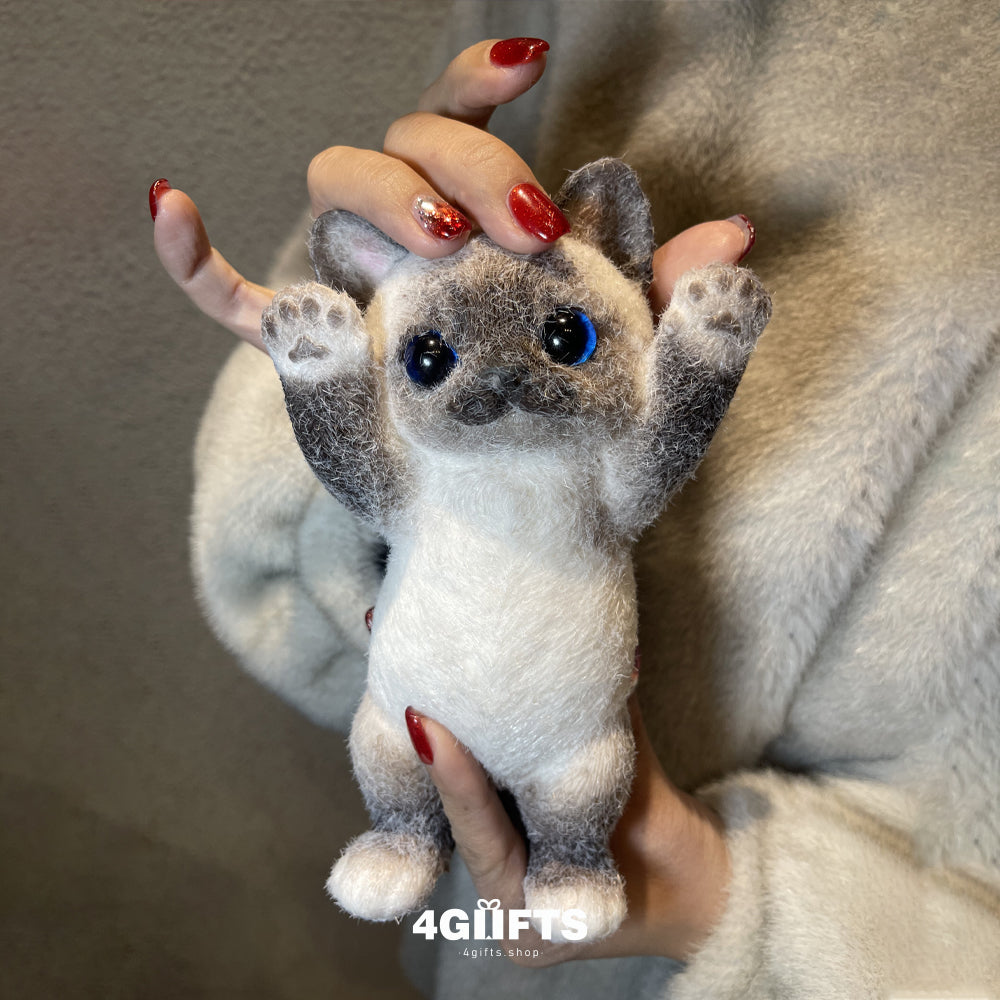 A01 Chubby Squishy Siamese Cat