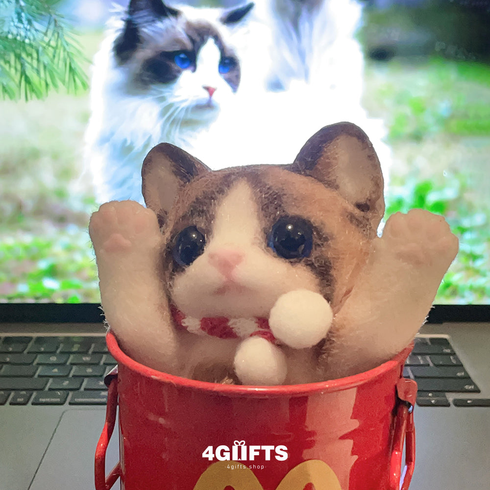 A03 Chubby Squishy Ragdoll Cat