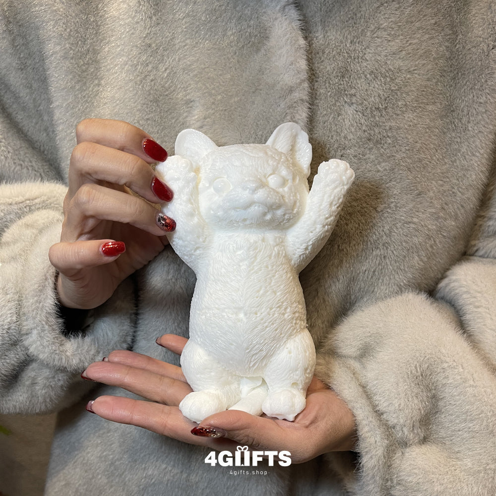 Customize in live Chubby Squishy Cat